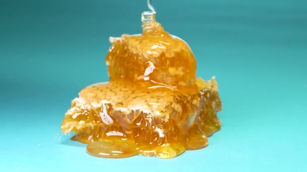 Tasty Sweet Honey Drains Honeycombs — Stock Video