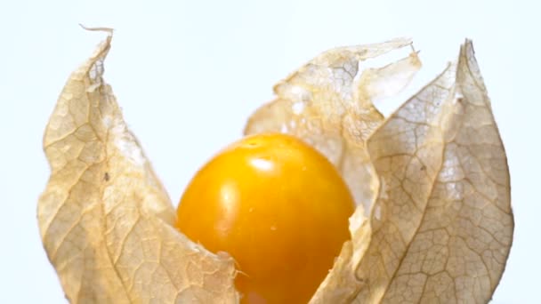 Physalis Frucht Mit Schale Aufdecken — Stockvideo