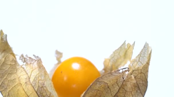 Fruta Physalis Descubra Casca Whith — Vídeo de Stock