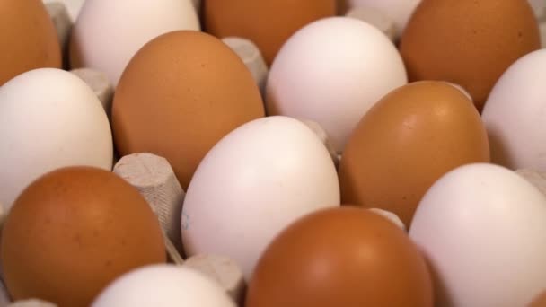 Курячі Яйця Коробці Панорамою — стокове відео