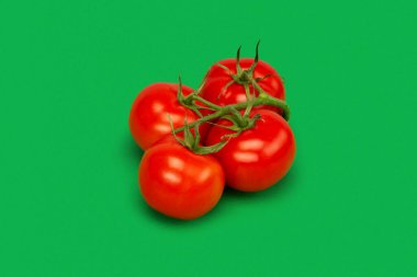 Yeşil arka planda bir dalda taze kiraz domatesleri.