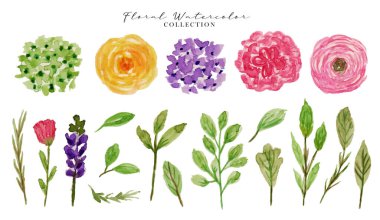 EPS ve JPG Format Yüksek Çözünürlüklü 3000 dpi