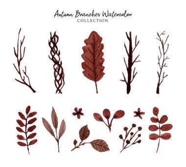 EPS ve JPG Yüksek Çözünürlük 300 dpi ile Sonbahar Dalları Suluboya