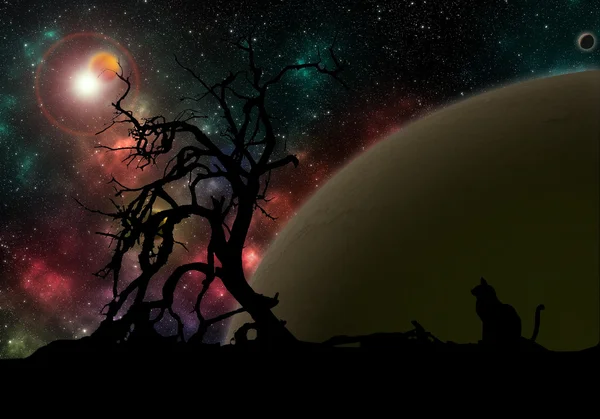 gezegenlerin ve yıldızların 