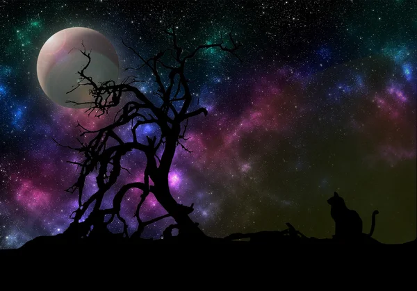 gezegenlerin ve yıldızların 