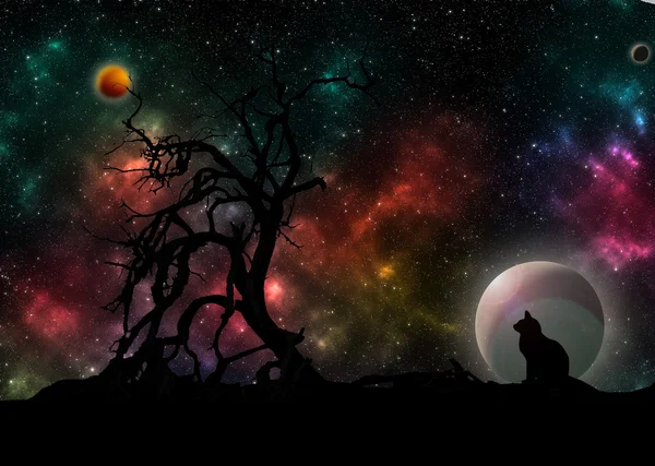 gezegenlerin ve yıldızların 