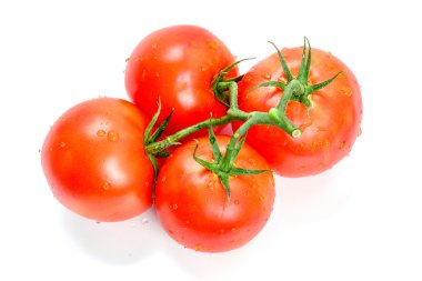 Beyaz arka planda yeşil yapraklı taze domatesler.