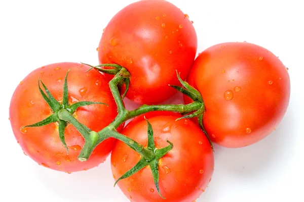 Beyaz arka planda yeşil yapraklı taze domatesler.