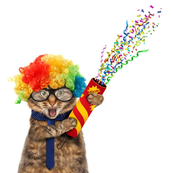 Funny cat in costume clown. — Stock Photo, Image