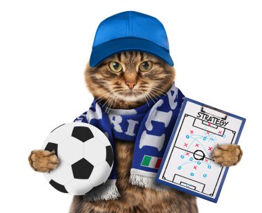 Futbol topu ile komik kedi 