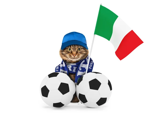 Rolig katt med fotbollar — Stockfoto