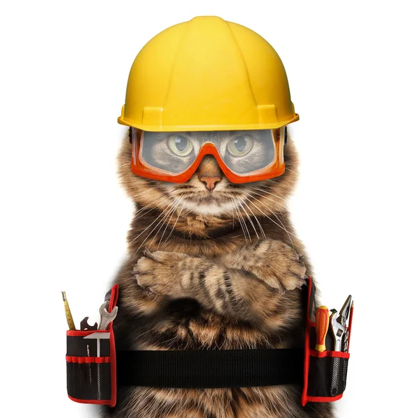 Craftsman gato com ferramentas — Fotografia de Stock