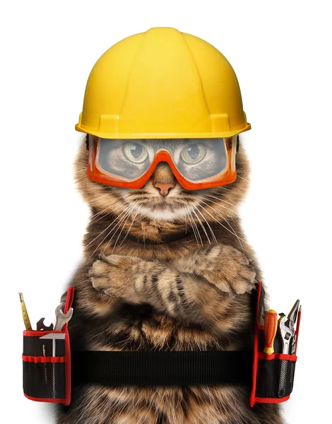 Artisan kot z narzędzia — Zdjęcie stockowe