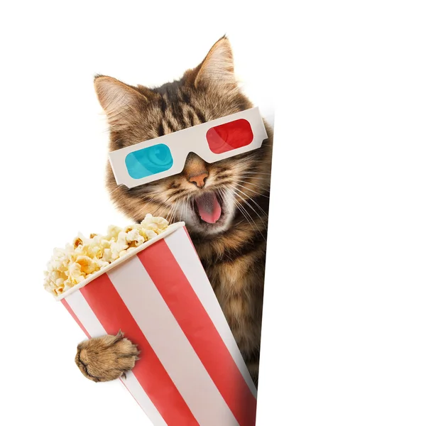 depositphotos_80418720-stock-photo-cat-in-the-3d-glasses.jpg