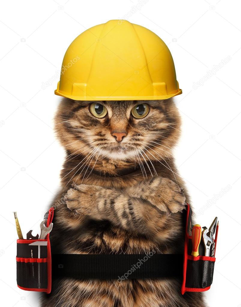 Craftsman cat with tools