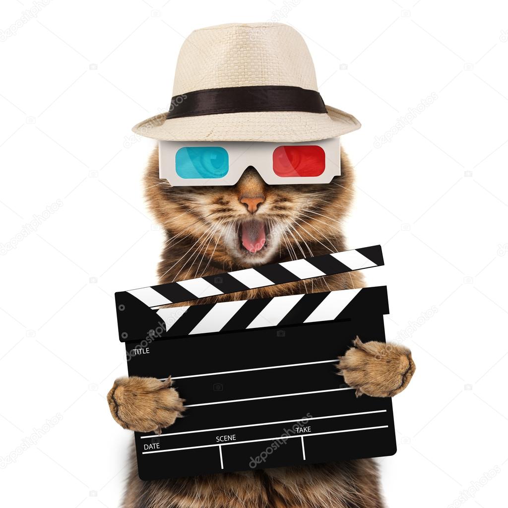 movie director cat