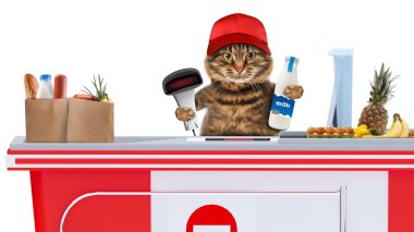 Bir kasiyer çalışan kedi