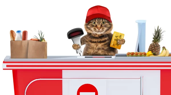 Cat working as a cashier — Stock Photo, Image