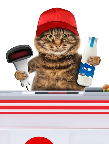 Cat working as a cashier — Stock Photo, Image