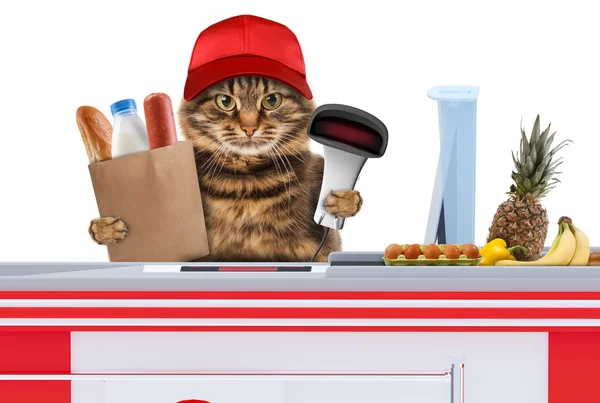 Cat working as a cashier — Stock Photo, Image