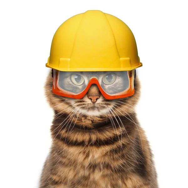 Ambachtsman kat in helm — Stockfoto