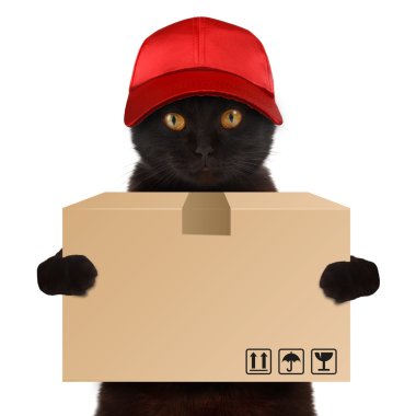 Funny cat - delivery service clipart