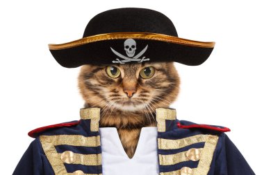 Komik kedi - korsan