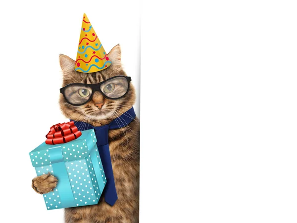 Cat with present in hat — Stock Photo, Image