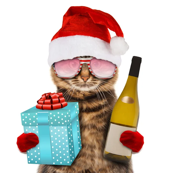 Cat with present in hat — Stock Photo, Image