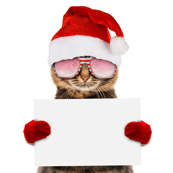 圣诞帽子的那只猫 — 图库照片