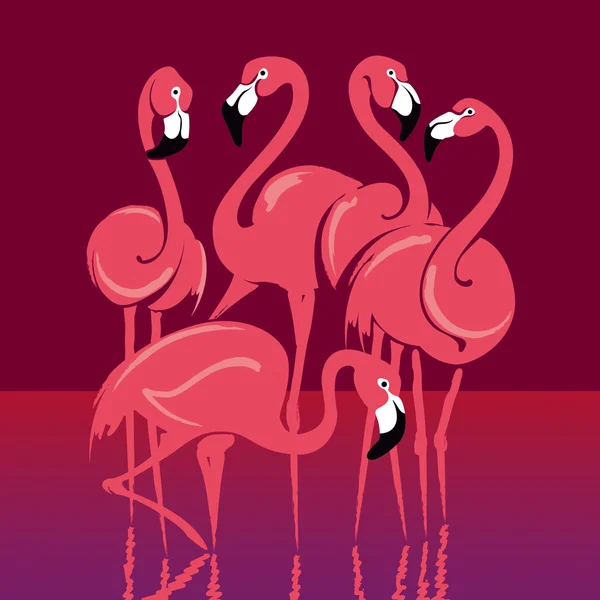 Фламинго — стоковый вектор