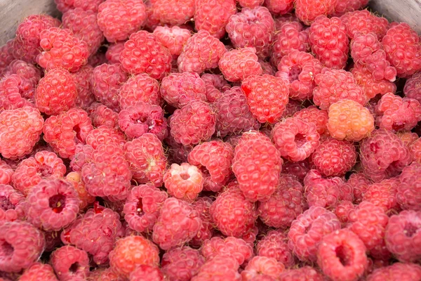 Bowl with raspberries — Stock Photo, Image