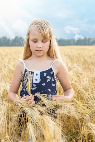 Chica en un campo de trigo — Stockfoto