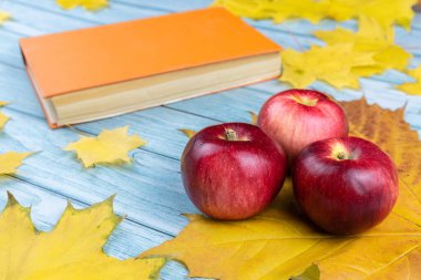 Üç kırmızı elma ve mavi ahşap zemin üzerinde akçaağaç yaprakları olan eski bir kitap. Sonbahar hasadı konsepti.