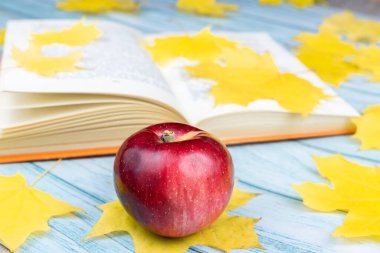Üç kırmızı elma ve mavi ahşap zemin üzerinde akçaağaç yaprakları olan eski bir kitap. Sonbahar hasadı konsepti.