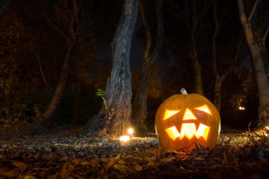 Cadılar Bayramı ve kabak