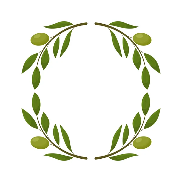 Ekologiska olivprodukter inställda. Krans av gröna oliver. Friska ekologiska produkter tecknad vektor — Stock vektor