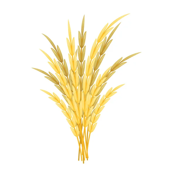 Mazzo di grano su fondo bianco. Illustrazione vettoriale. — Vettoriale Stock