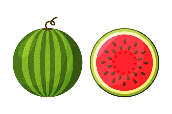 Watermelon vector. Watermelon with red flesh is halved isolate on a white background. — Stock Vector