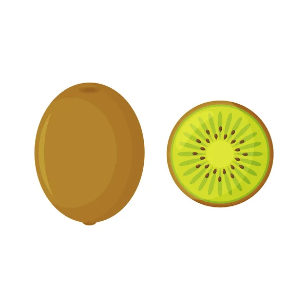 Fruits d'été pour un mode de vie sain. Kiwi, fruits entiers et demi. Illustration vectorielle icône plate de dessin animé isolé sur blanc — Image vectorielle