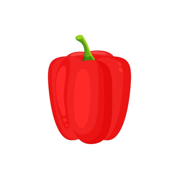 Fresh red pepper vegetable isolated icon. Fresh red Paprika. Pepper for farm market, vegetarian salad recipe design. — Image vectorielle