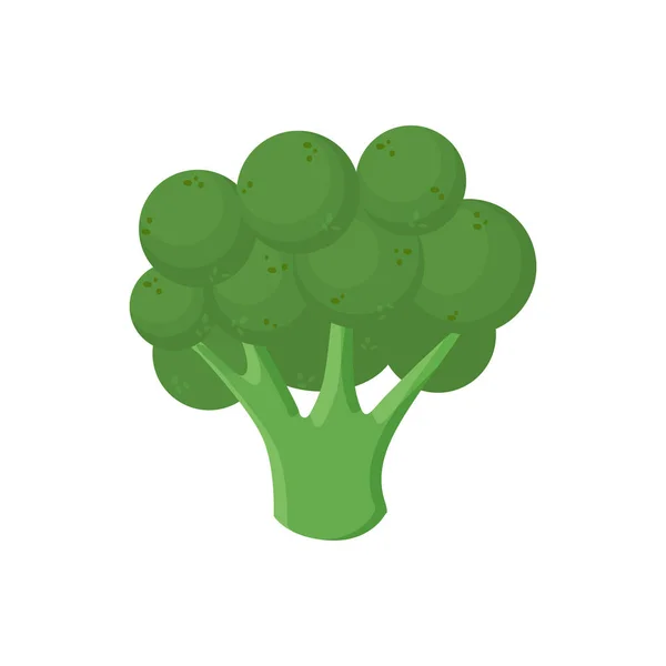 Icône de brocoli mûr. Dessin animé de l'icône vectorielle de brocoli mûr pour la conception web isolé sur fond blanc — Image vectorielle