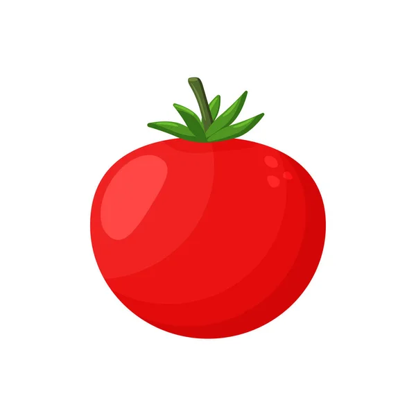 Red tomato clip art isolated on white background, tomatos cartoon infographics, illustration cartoon tomato simple flat — Stock vektor