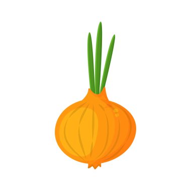 Vektör soğan. Çiftlik pazarı menüsü için sebze çizimi. Sağlıklı gıda tasarımı. 