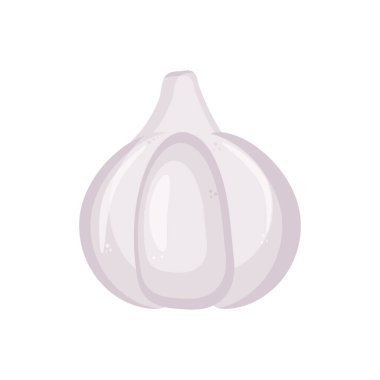 Sarımsak beyaz arka planda izole edilmiş. Sarımsak, sarımsak, sarımsak, sarımsak soğanı. Sağlıklı yemek.