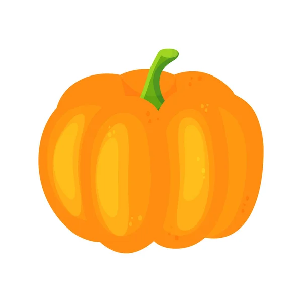 Illustration vectorielle citrouille orange. Citrouille d'Halloween d'automne, icône graphique ou imprimé végétal, isolé. — Image vectorielle