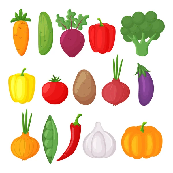 Bright vector illustration of colorful vegetables. Fresh cartoon organic vegetable isolated on white background used for — Stock Vector