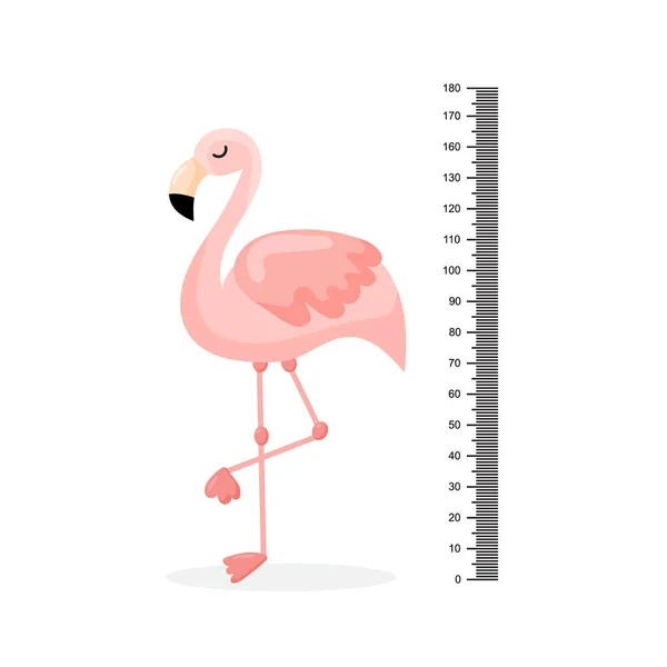 Gráfico Altura Crianças Flamingo Pássaro Exótico Com Penas Cor Rosa — Vetor de Stock