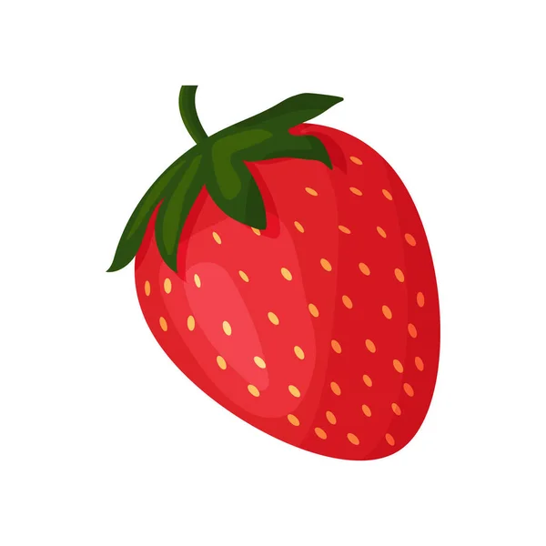 Stawberry kırmızı yaz meyvesi, beyaz arka plan. Vektör grafik çizimi. Vejetaryen kafe baskısı, poster, kart. Doğal, organik tatlı, taze meyve. Vektör illüstrasyonu