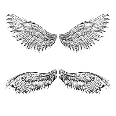 Melek kanatları, vektör çizim